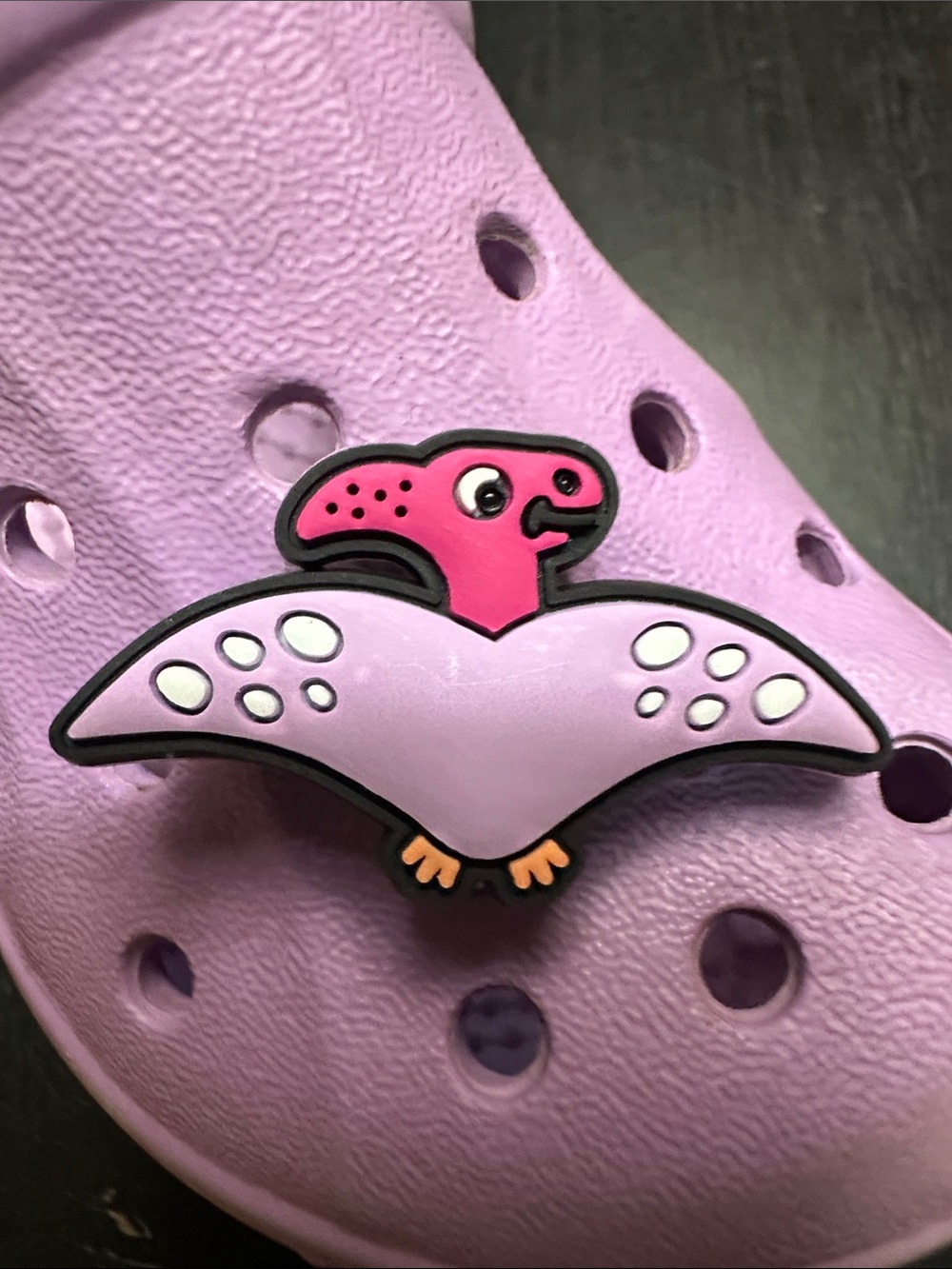 Jibbitz Dinosaur Shoe Charm